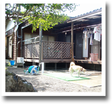 exteria_06