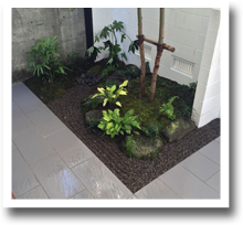 renovation